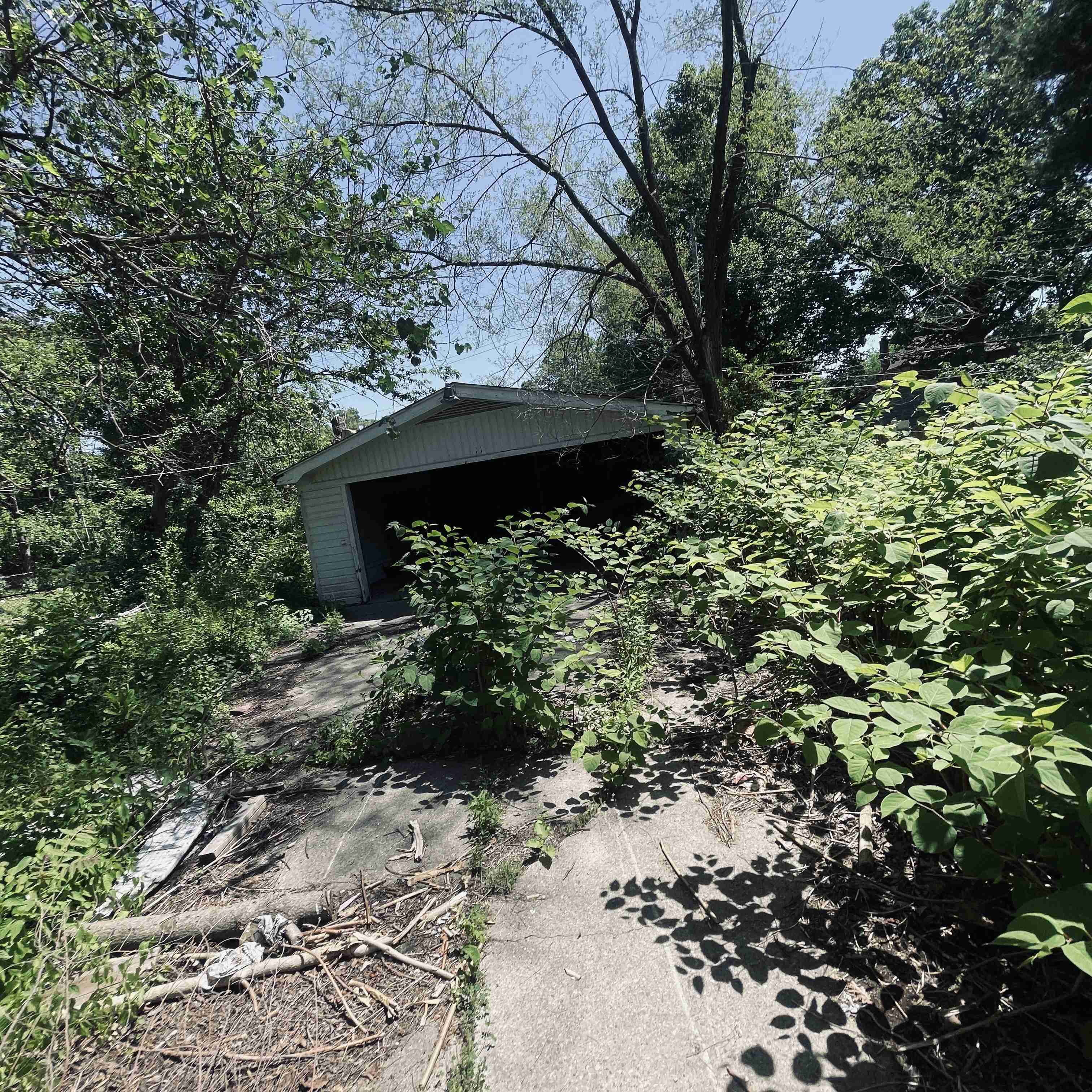 16744 Beaverland (14).jpg